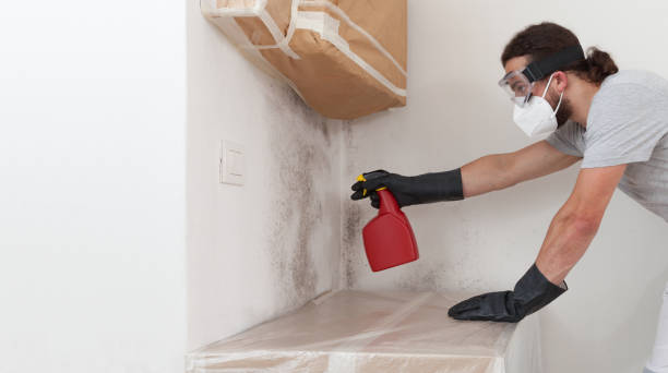 Professional Bathroom Mold Removal technician working in Pipersville, PA