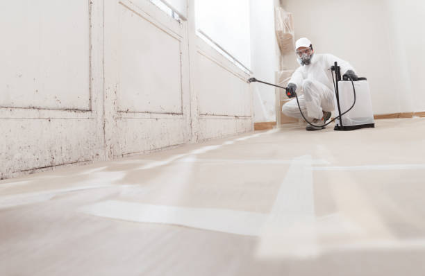 24/7 Emergency Bathroom Mold Removal experts in Pipersville, PA